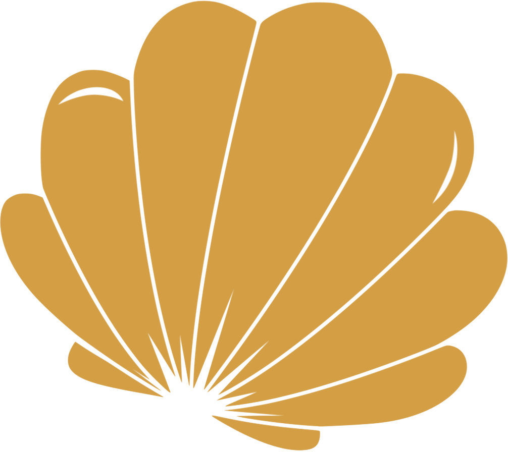 Shell Nereida Lngerie (1006x896), Png Download