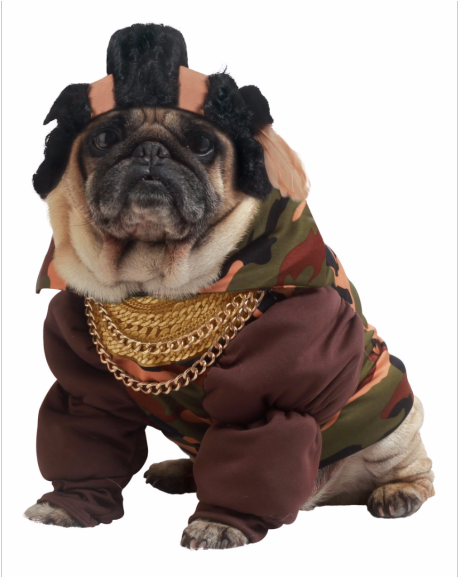 #5 50's Poodle Dress - French Bulldog Fancy Dress (1024x576), Png Download