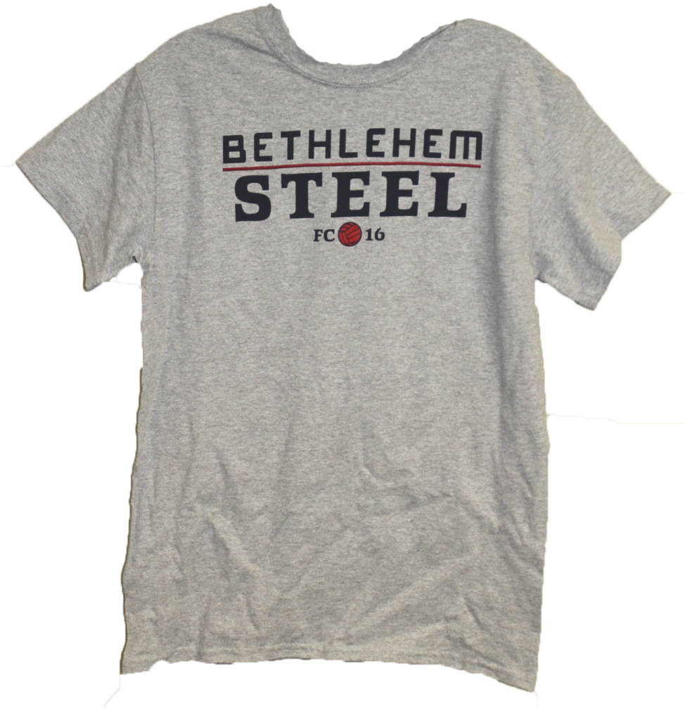 Gildan Men's Word Logo Tee- Grey - Descendents Shirt (973x1024), Png Download