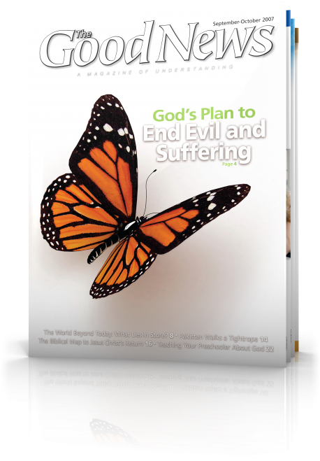 Butterfly Flying Digital Art (460x672), Png Download