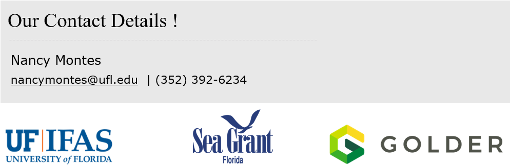 Nancy Montes Nancymontes@ufl - Graphic Design (1003x326), Png Download