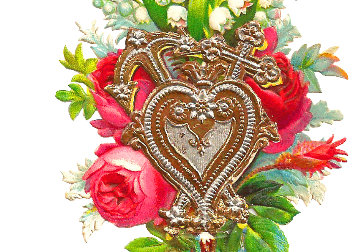 Free Flower Clip Art - Best Rose Flower Hd (1368x855), Png Download