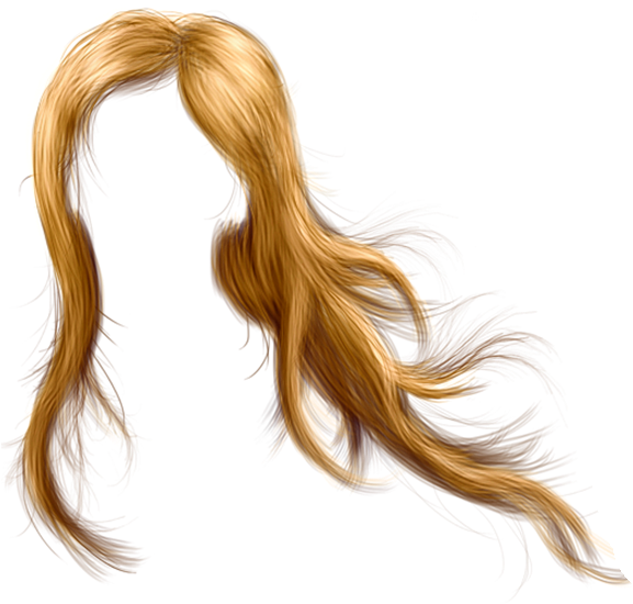 Imágenes Para Photoscape, Photoshop Y Gimp De Pelucas - Head Hair (600x800), Png Download