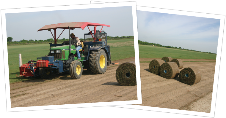 We Supply Sod To Landscapers, Contractors, Sports Facilities, - Tractor (776x435), Png Download