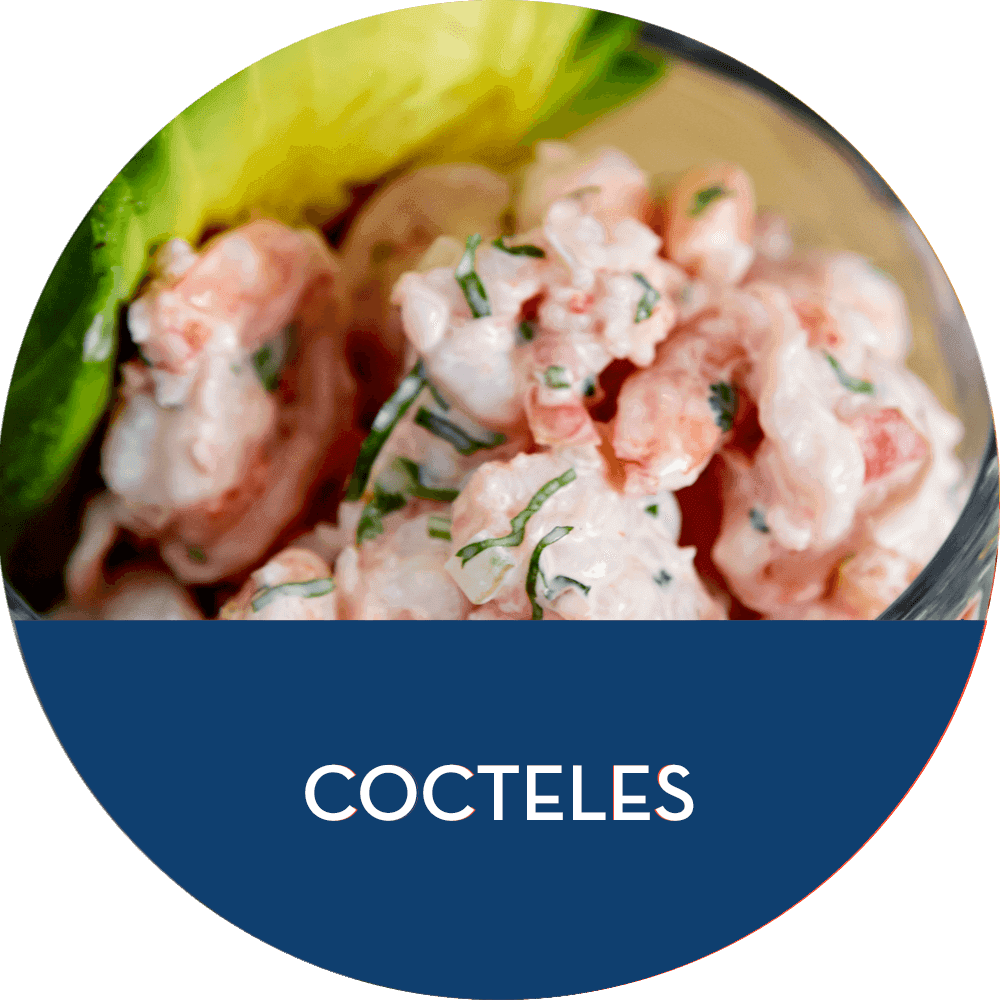 Wordpress Carousel Free Version - Dish (1000x1000), Png Download