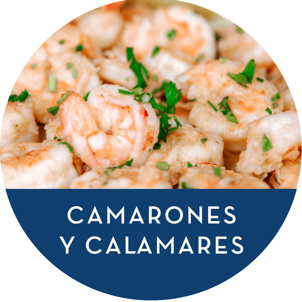 Wordpress Carousel Free Version - Scampi (1000x1000), Png Download