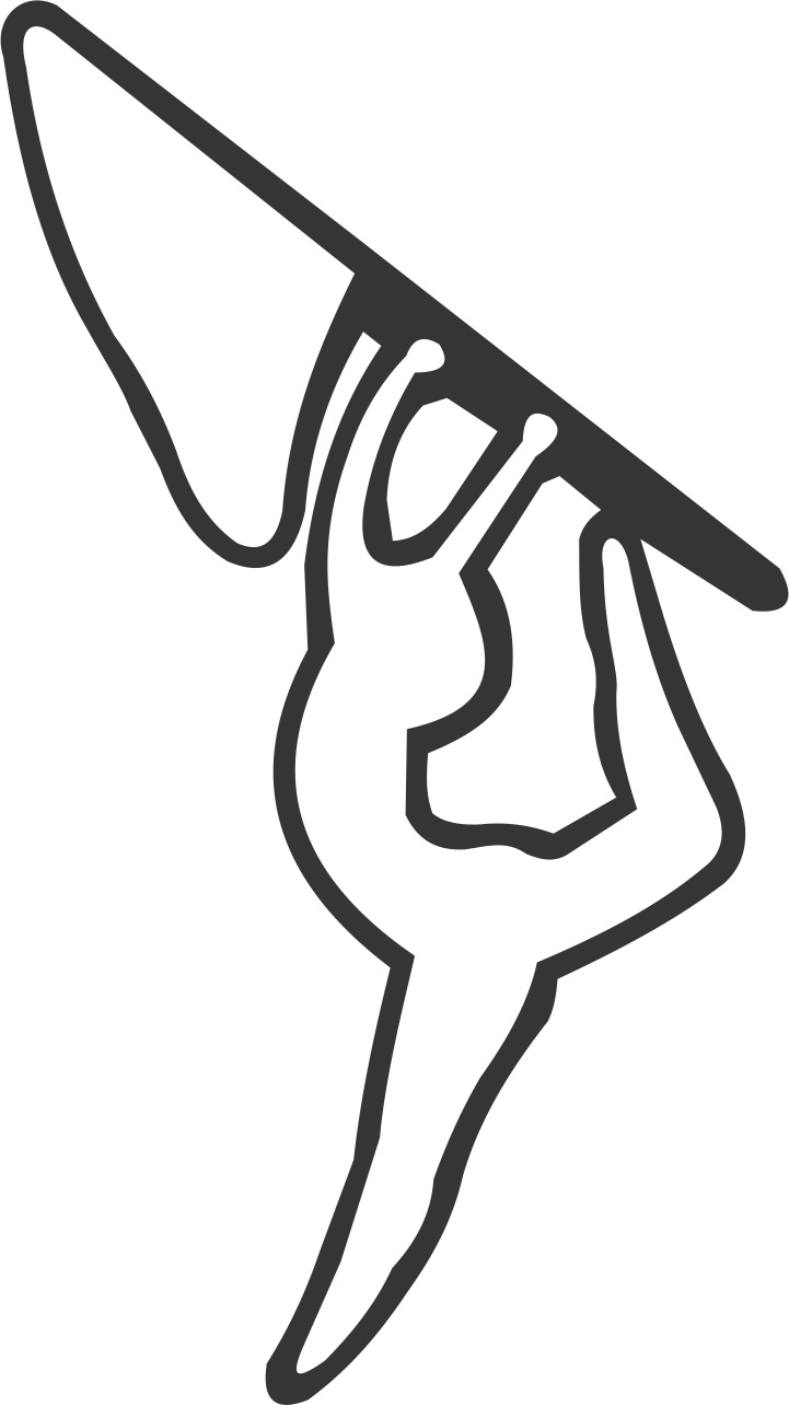 Colorguard Flag Girl - Girl With Color Guard Flag (721x1284), Png Download