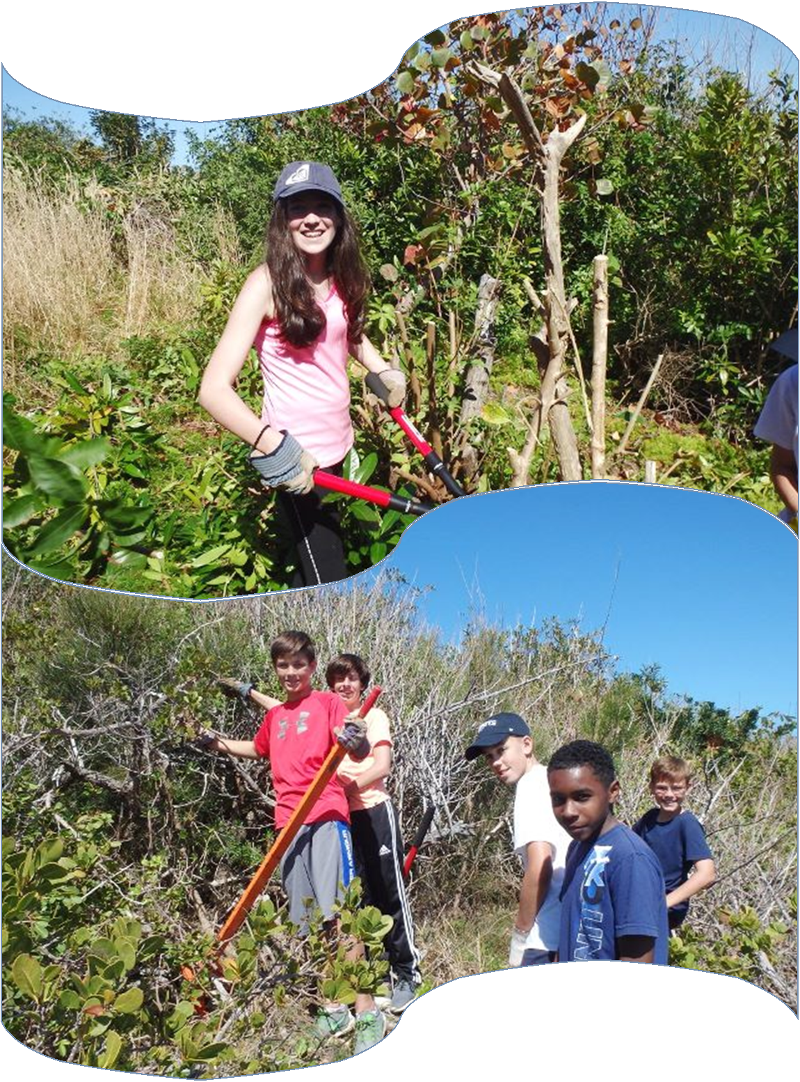 Saltus Island Project Gets Michael Darling Shield - Vacation (1150x1554), Png Download