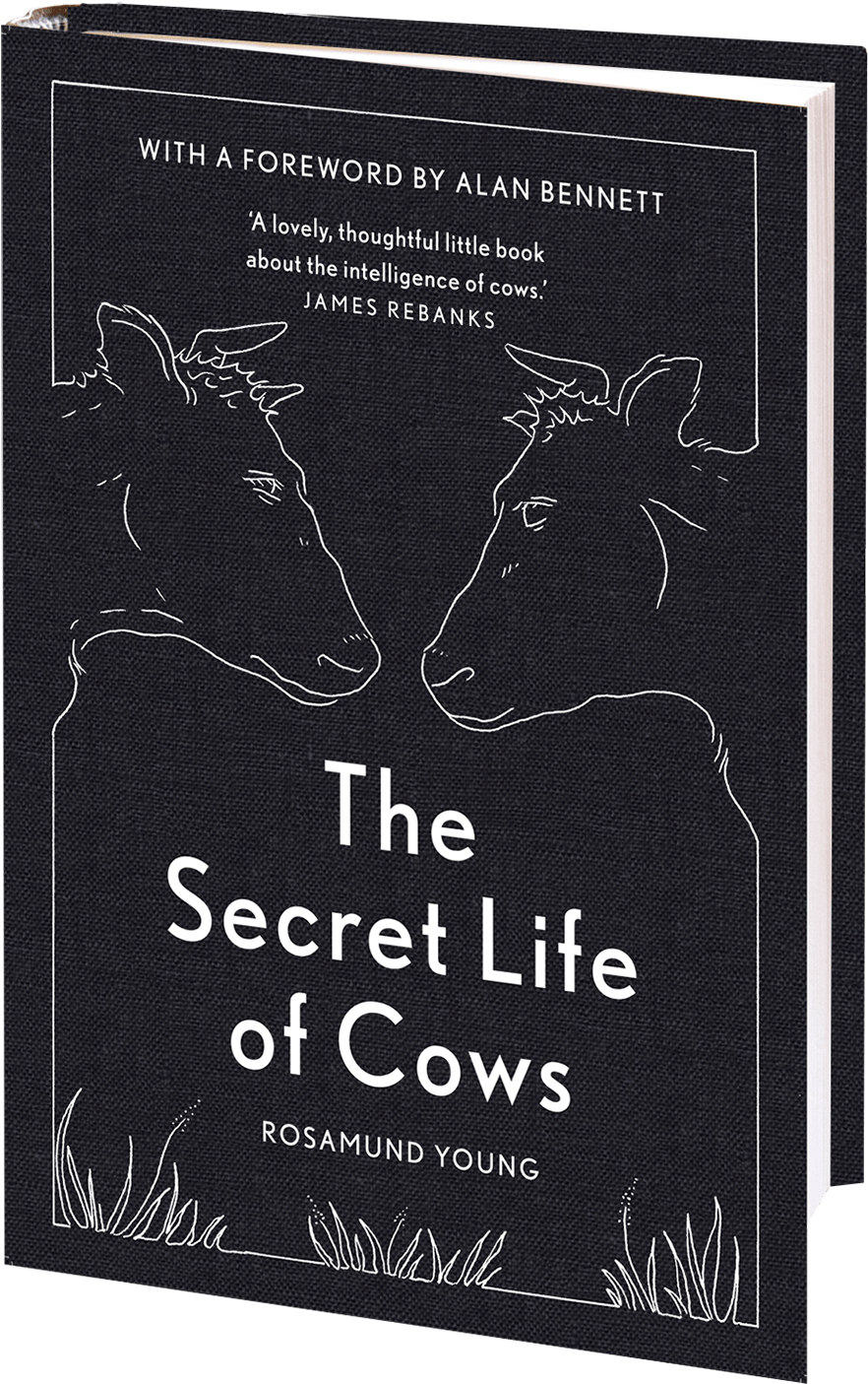 The Secret Life - Deer (900x1441), Png Download