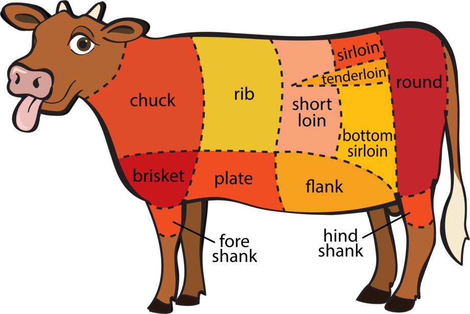 Nose To Tail Beef - Meat On A Cow (920x615), Png Download