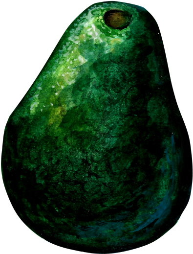 Avocado (866x650), Png Download
