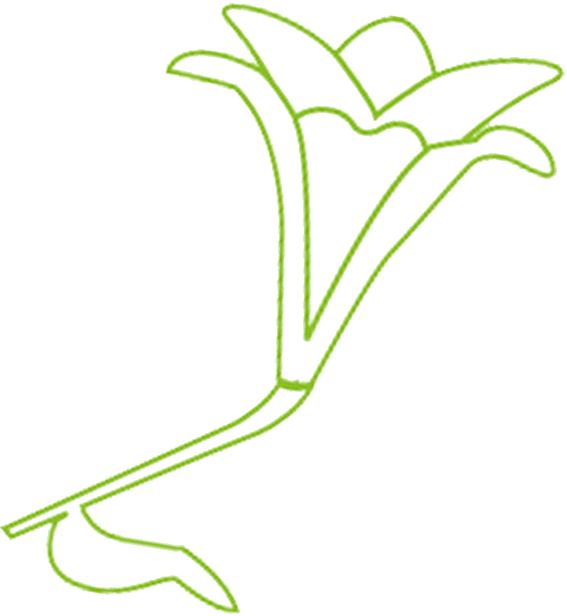 Designevo (567x616), Png Download