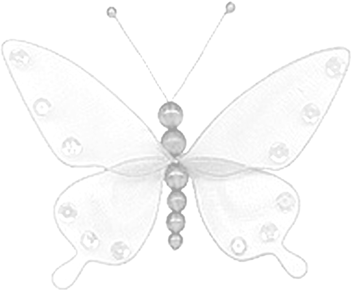 Butterfly (600x574), Png Download