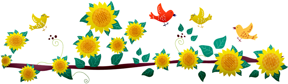 Sunflowers In Pot, Flower Pot, Sunflower - African Daisy (998x340), Png Download