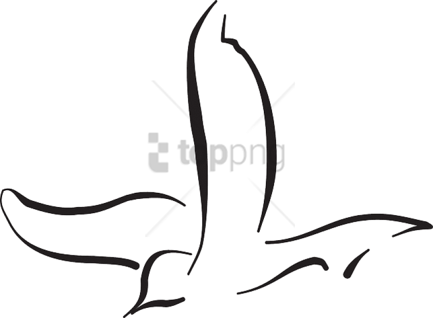 Free Png Download Flying Bird Line Drawing Png Images - Bird Line Art Flying (850x625), Png Download