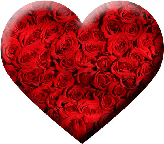 Free Download Stylish 3d Heart Png Transparent Background - Rose Sublimation T Shirt (800x800), Png Download