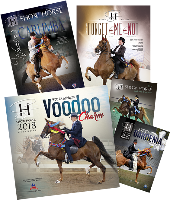 We Have A Limited Number Of Back Calendars, Planners, - Sorrel (720x720), Png Download