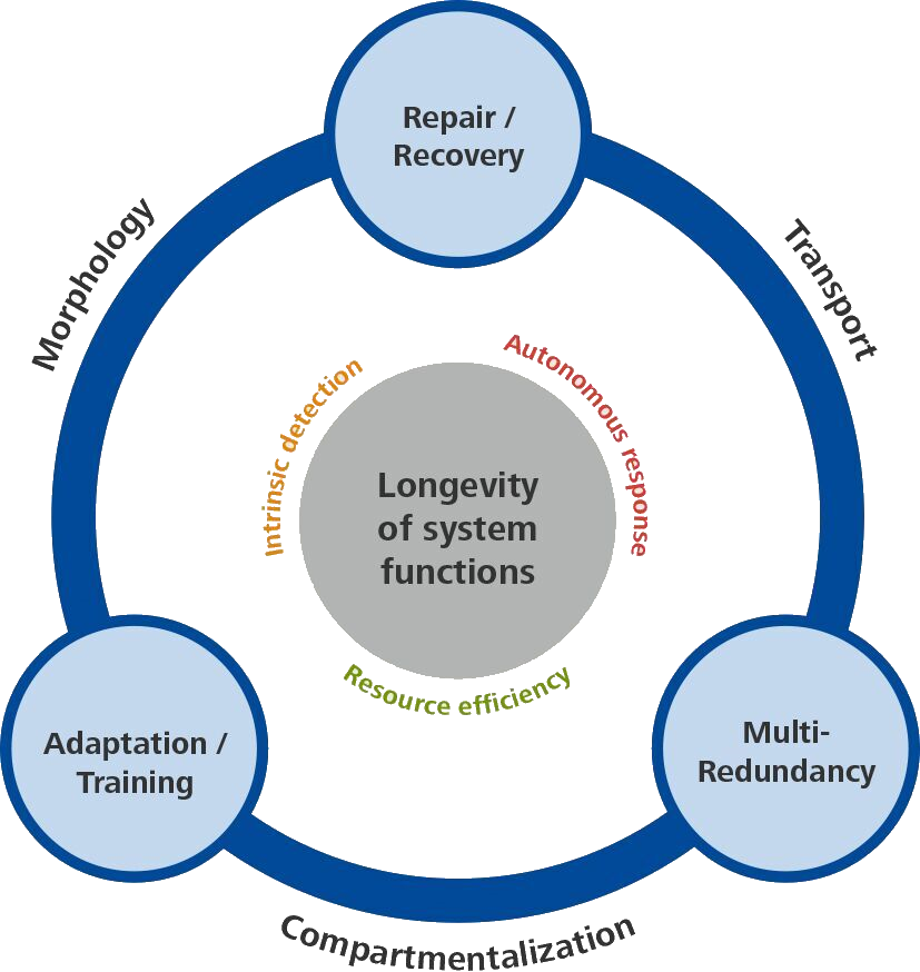 C-2 Kreisgraphik Hp - Circle (827x874), Png Download