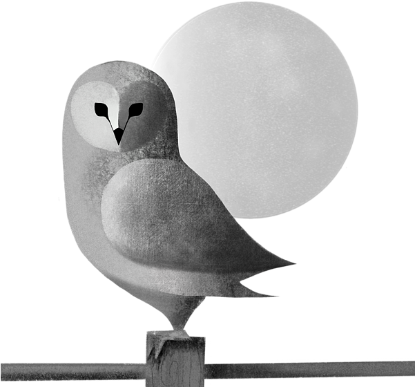 Click And Drag To Re-position The Image, If Desired - Owl (600x600), Png Download