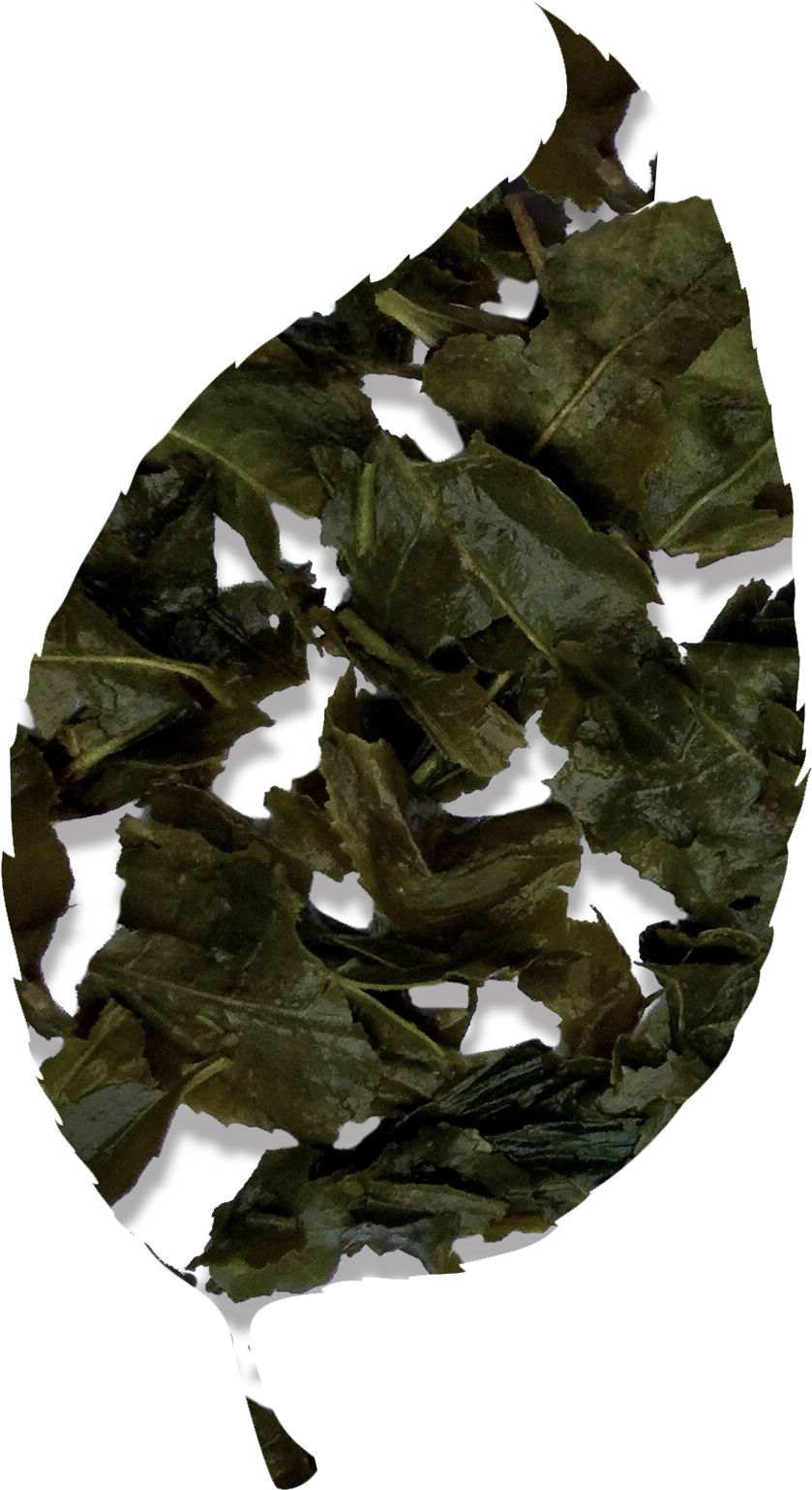 Bancha Green Tea - Oak (1150x1600), Png Download