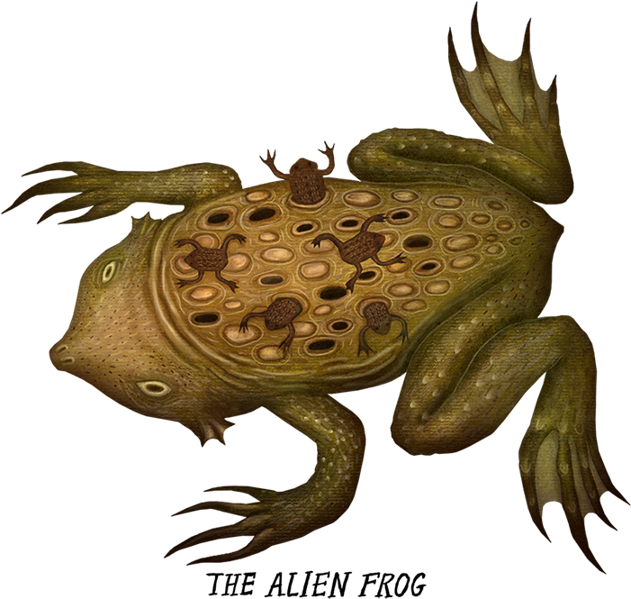 Creepy Frogs (700x677), Png Download
