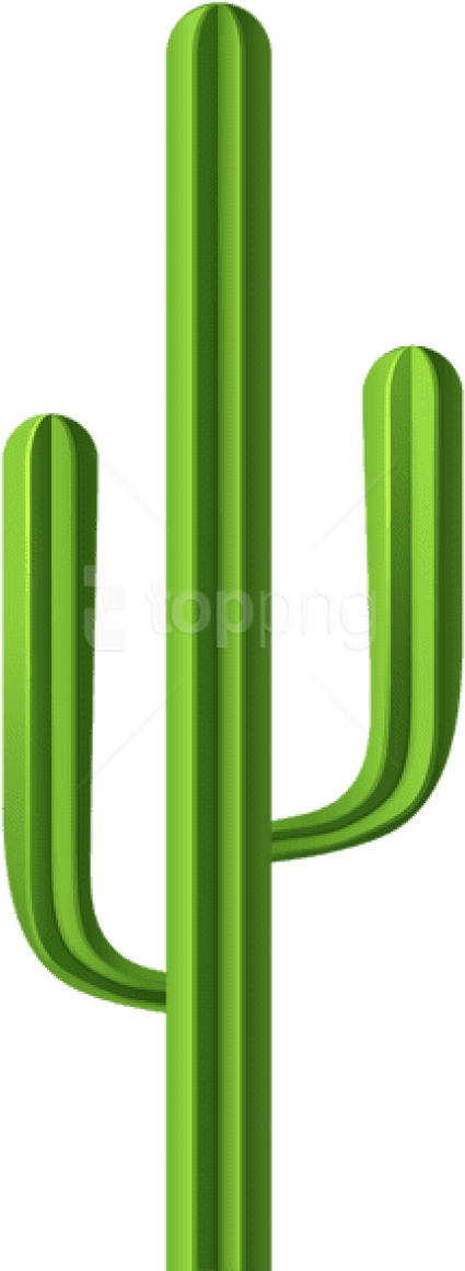 Free Png Images - Cactus Clip Art Png (480x1186), Png Download