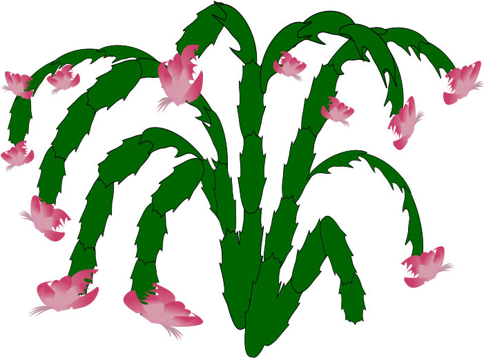 Plants 001 Free Plant-03 - Cactus (800x800), Png Download