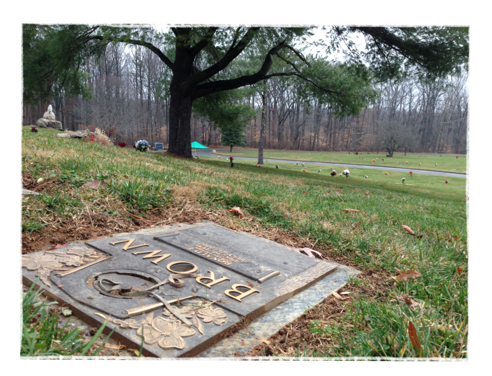 Video Message From The Dead - Grass (1024x750), Png Download