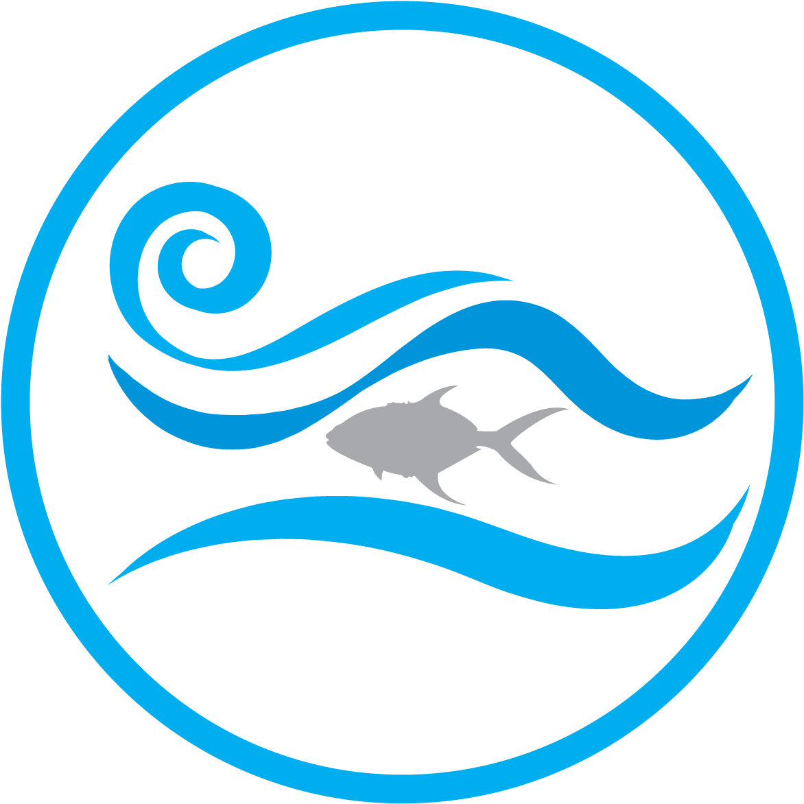 Oceans Governance And Fisheries Unit - Volkswagen (1200x1200), Png Download