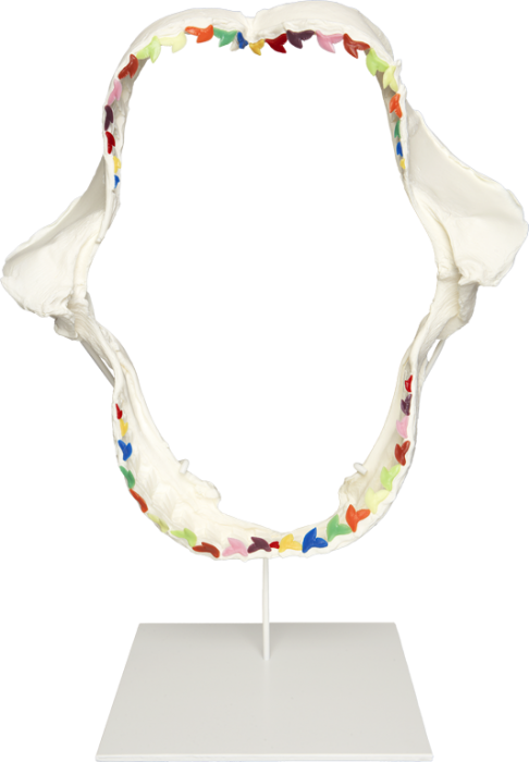 Damien Hirst Rainbow Shark Teeth - Necklace (486x700), Png Download