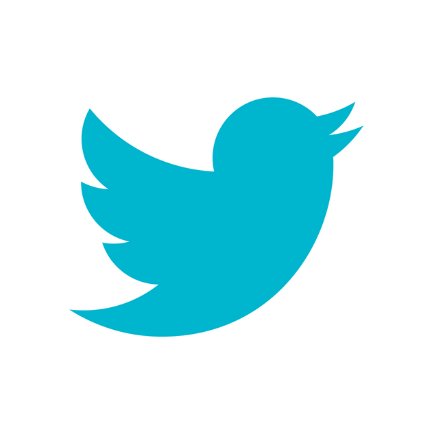 Facebook Icon Small Twitter Icon Small - Vektor Twitter (800x800), Png Download