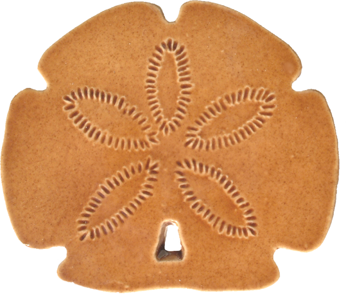 Sd26-3 3"x2" Sand Dollar Ceramic Pool Mosaic - Gingerbread (707x600), Png Download
