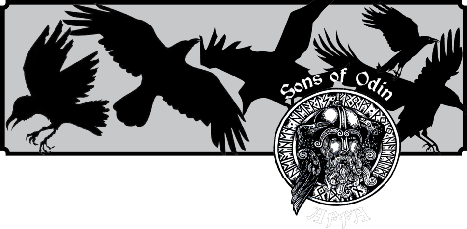 The Sons Of Odin - Golden Eagle (950x475), Png Download