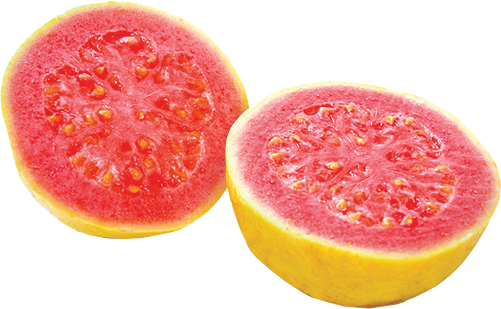 Guava Sorbet - Guava Vs Grapefruit (1024x1024), Png Download