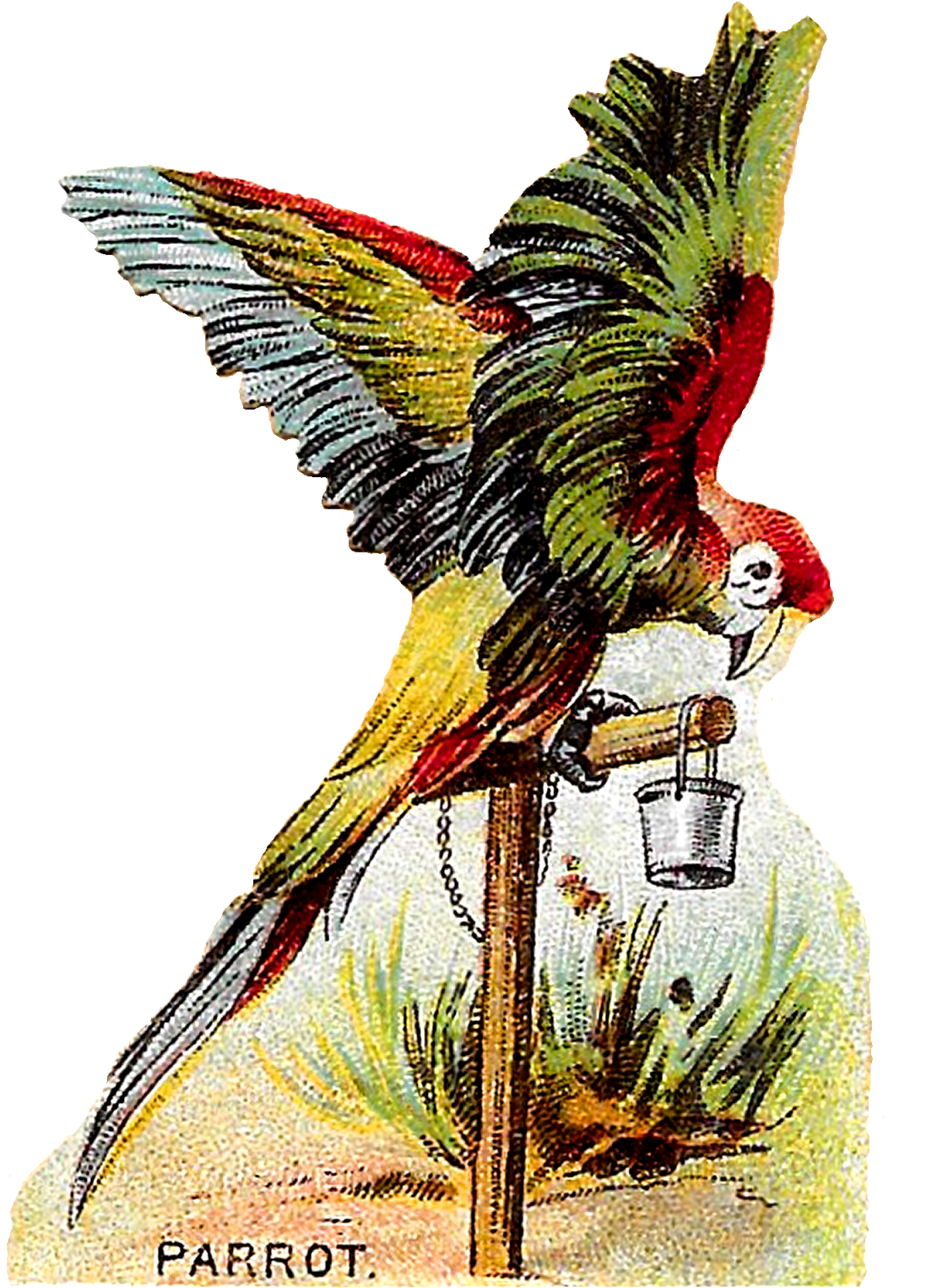The Second Digital Bird Clip Art Is Of A Gorgeous Macaw (1144x1600), Png Download