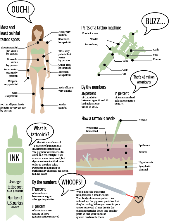 Christine Fernando Buy Photos - Least Painful Areas To Tattoo (641x824), Png Download