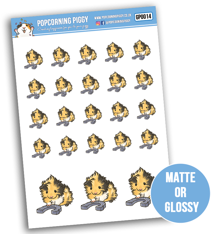 Good Luck, Lucky Abyssinian Guinea Pig Sticker Set - Cartoon (801x801), Png Download