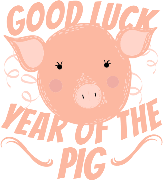 Good Luck Year Of The Pig - Domestic Pig (600x679), Png Download