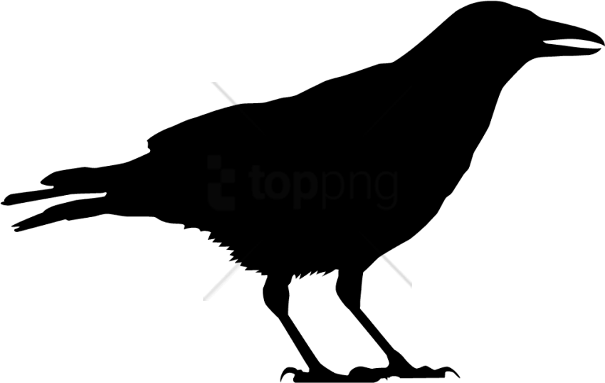 Free Png Black Crow Silhouette Png Image With Transparent - Black And White Crow Free (850x538), Png Download