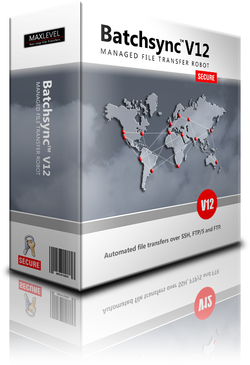 Two Batchsync V12 Licenses - Flyer (505x739), Png Download