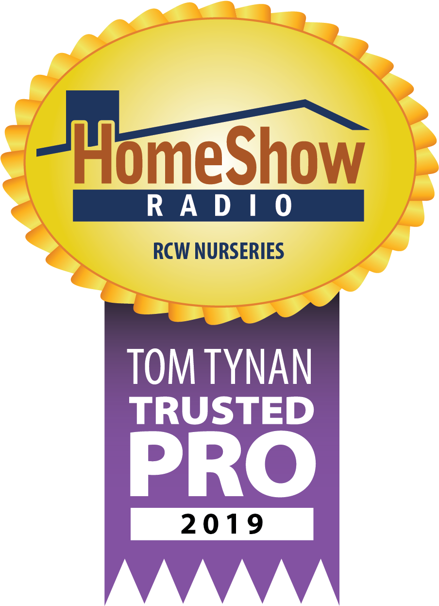 Clump Or Multi-cane Trees - Graphic Design (1004x1353), Png Download