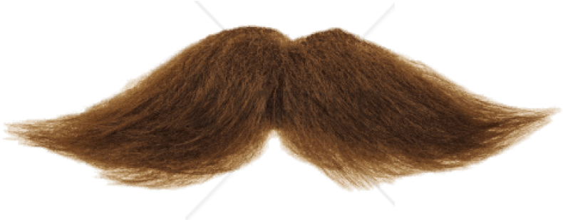 Free Png Download Mustache Brown Png Images Background - Imagenes De Bigote (850x567), Png Download