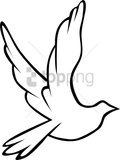Free Png Download Black And White Flying Birds Png - Turtle Dove Drawing (480x642), Png Download