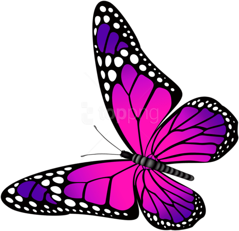 Free Png Download Butterfly Pink And Purple Transparent - Pink And Purple Butterfly Clipart (850x822), Png Download