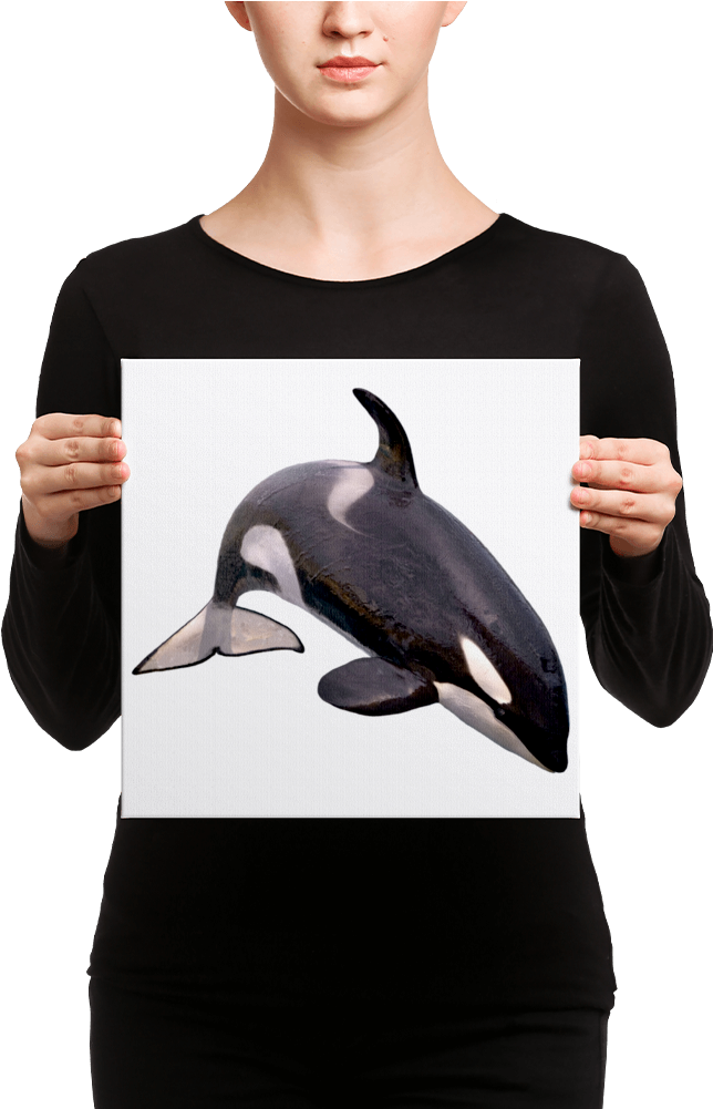 Killer-whale Canvas - Canvas (1000x1000), Png Download