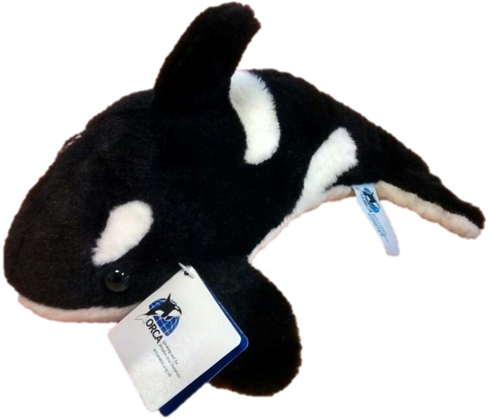 Killer Whales For Just £15 This Offer Is Only On For - Stuffed Toy (1200x674), Png Download