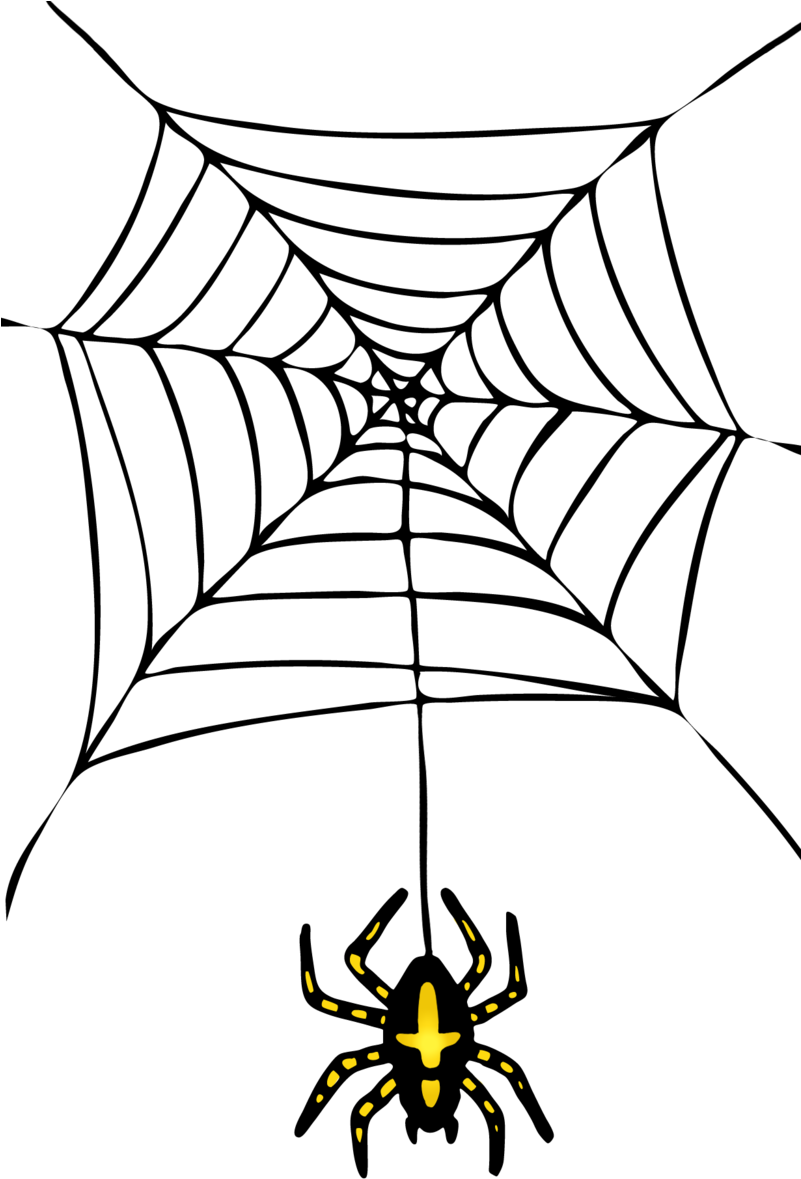 Halloween Spider Transparent Png - Spider Halloween Png (800x1226), Png Download