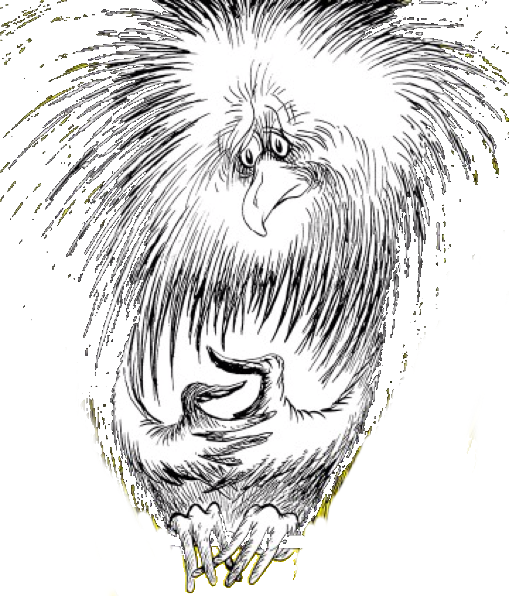 Twiddler Owl - Sketch (1748x2048), Png Download