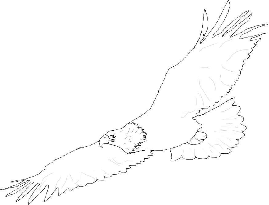 Eagle In Flight Drawing At Getdrawings - Sketch (900x900), Png Download