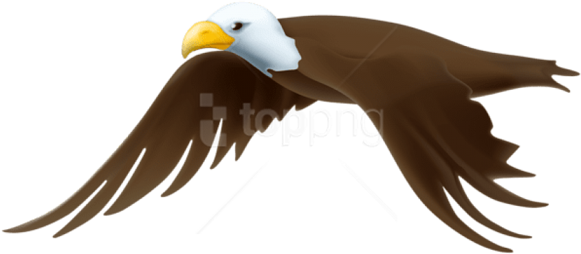 Free Png Download Eagle Transparent Png Images Background - Bald Eagle (850x382), Png Download